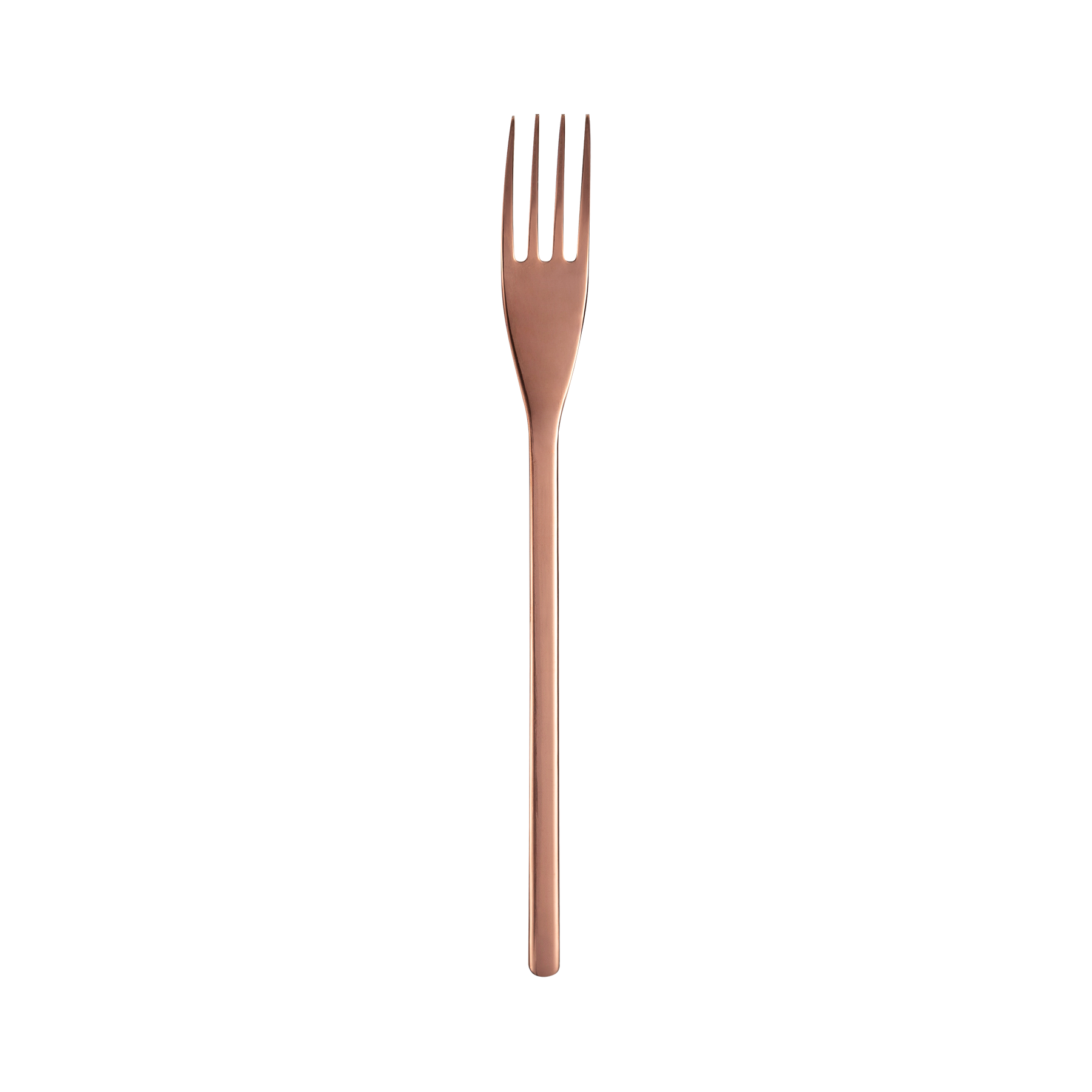 20cm Dinner Fork